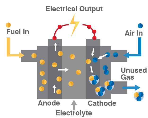 Fuel Cells NC Sustainable Energy Association